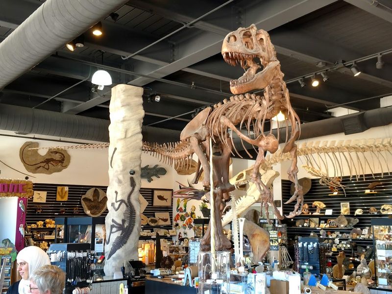 An Underrated Gem on Florida's Space Coast Worth Visiting at Least Once