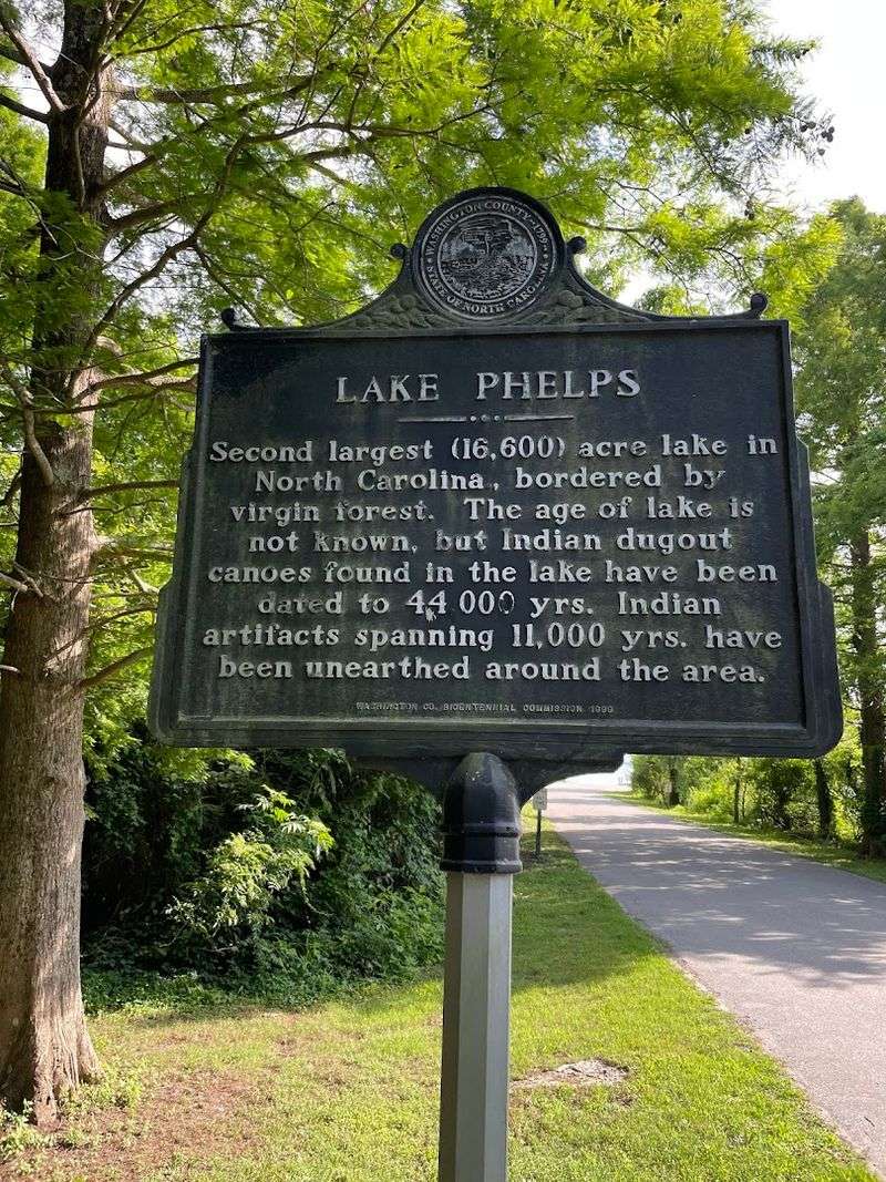 Ancient Canoes Buried in the Lake Bed