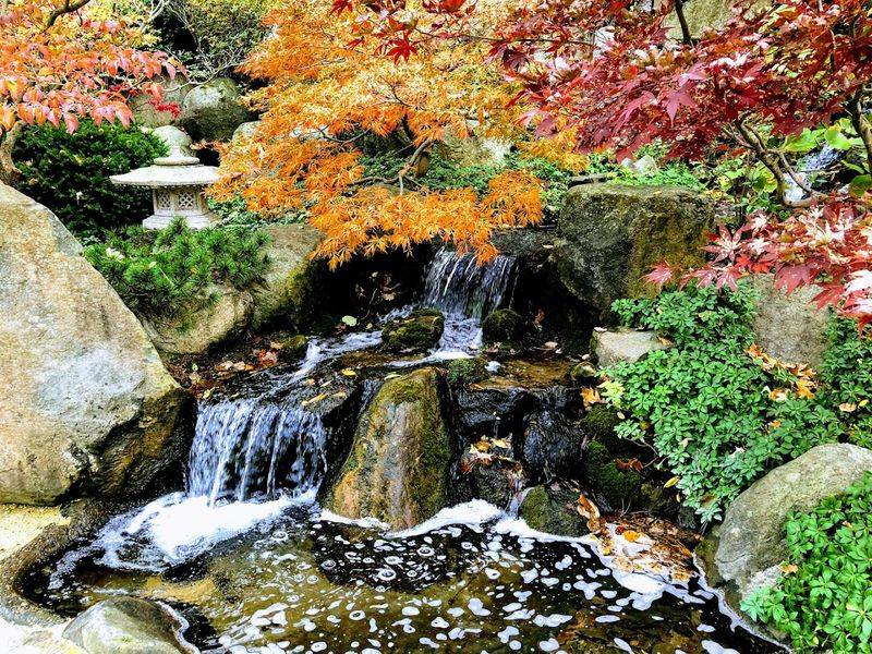 Anderson Japanese Gardens - Rockford, Illinois