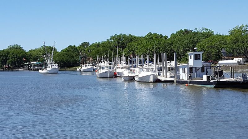 Annual Lowcountry Shrimp Festival