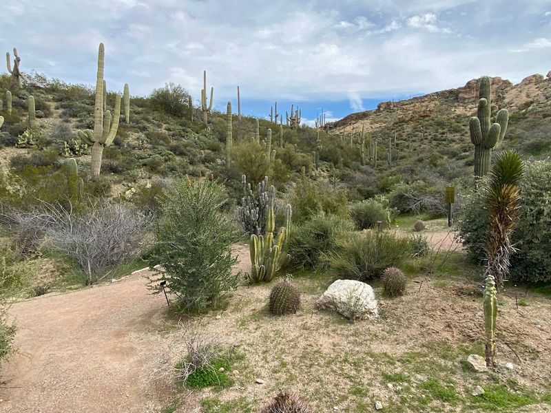 Annual Membership That Unlocks Hundreds of Gardens Nationwide