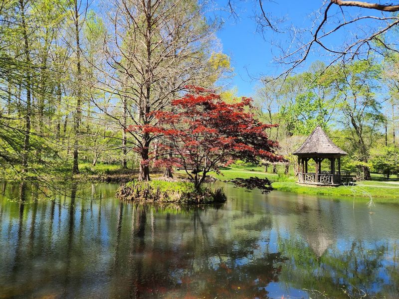 Annual Memberships That Keep Visitors Coming Back