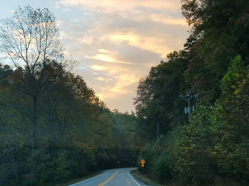 Annual Sorghum Festival: Celebrating Appalachian Heritage in the Best Way Possible