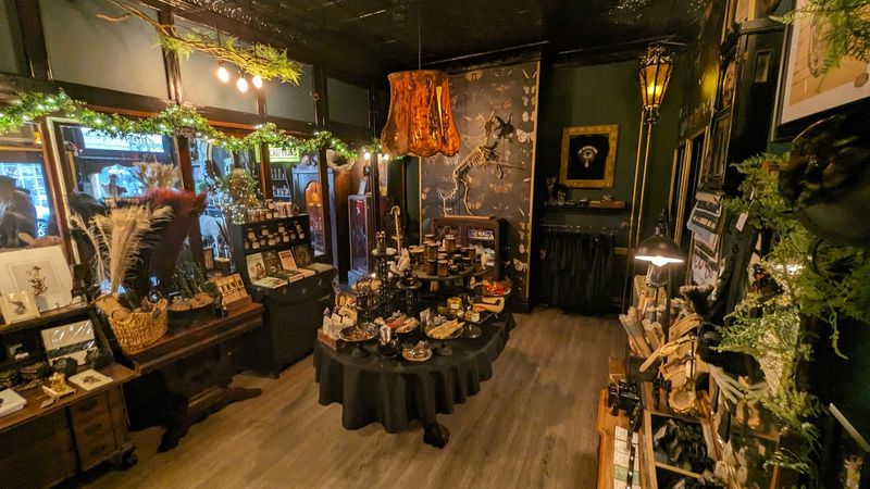 Antique Collectibles With Real Character