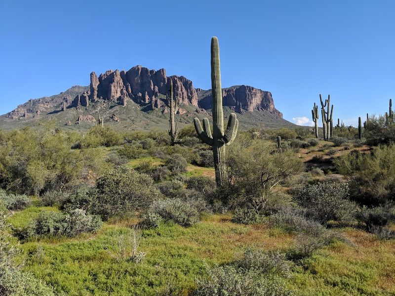 Apache Junction - Arizona Apache Junction - Arizona
