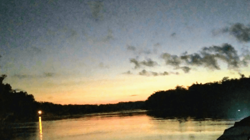 Apalachicola River Wildlife and Environmental Area