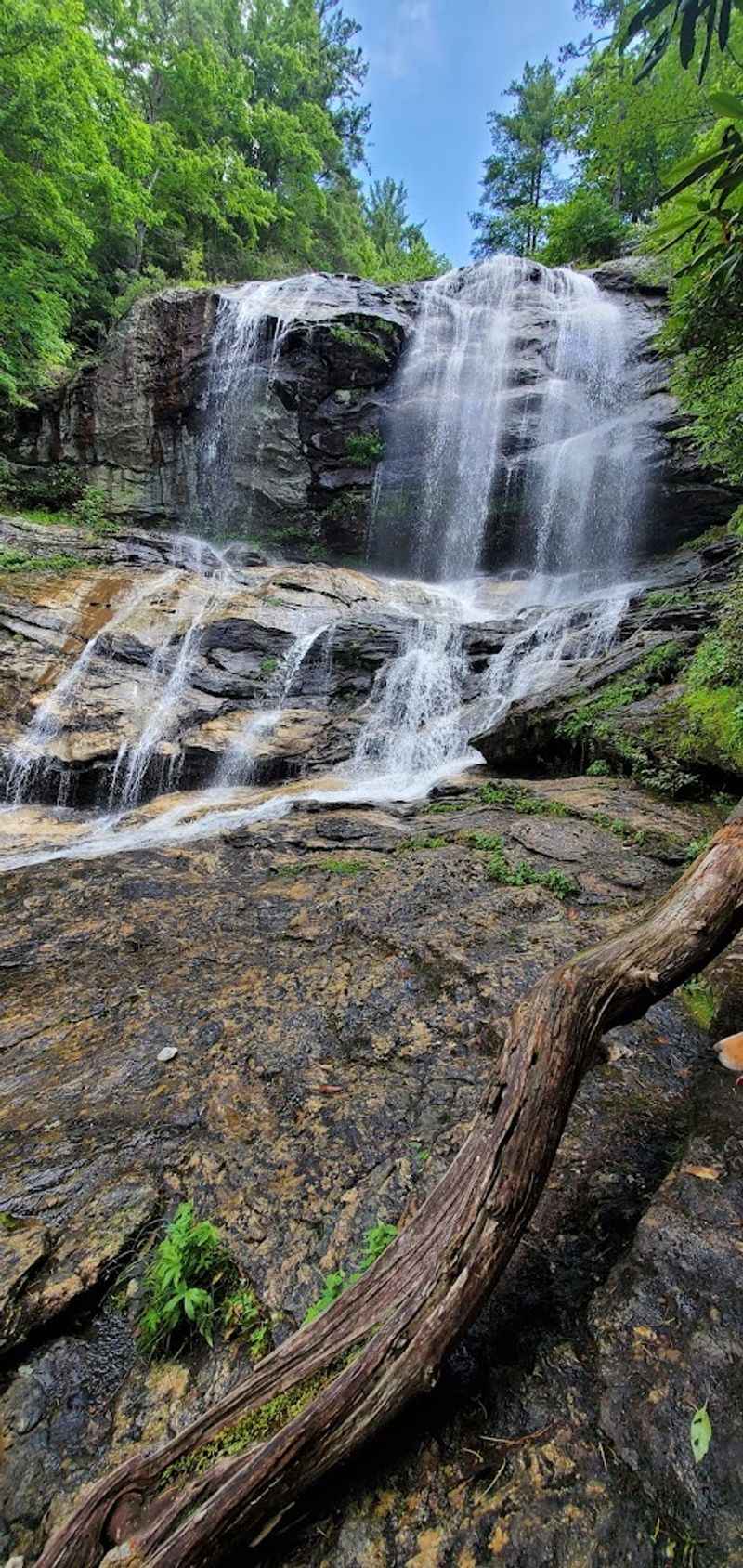 Appalachian Trail Day Hikes from Bryson City