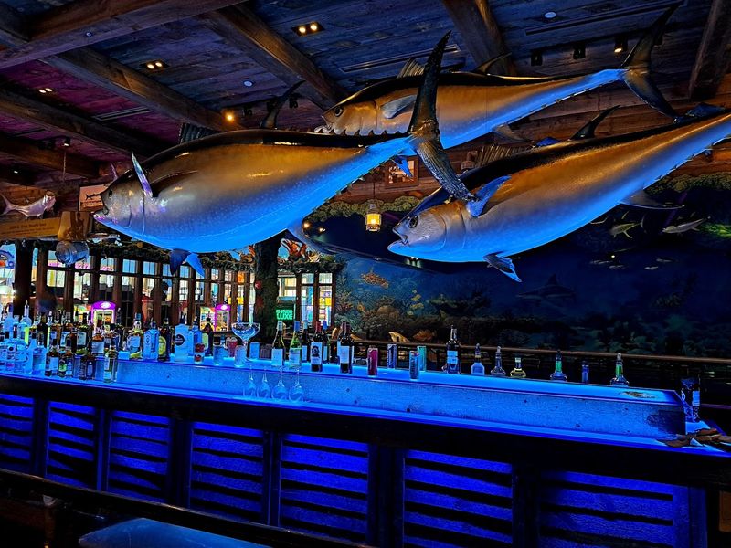 Aquarium Bar That Doubles as a Conversation Starter