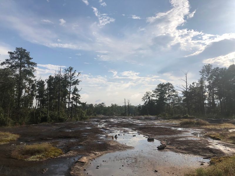 Arabia Mountain - Lithonia, Georgia