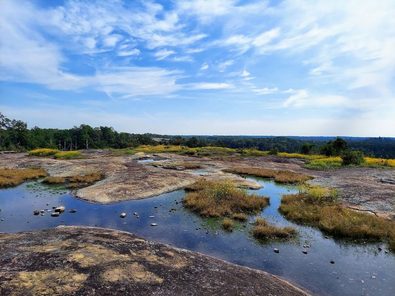 Arabia Mountain National Heritage Area - Stonecrest, Georgia