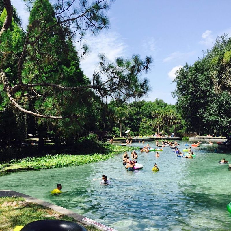 Arriving Early: The Golden Rule of Kelly Park