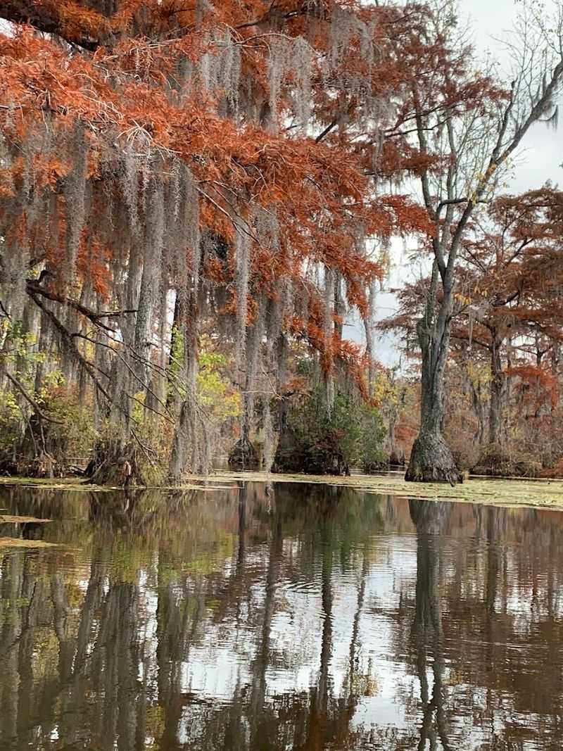 Autumn Colors and Seasonal Beauty