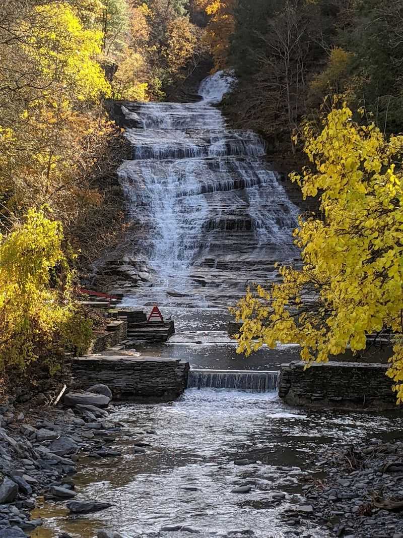 Autumn at the Park: Fall Foliage Meets Rushing Water Autumn at the Park: Fall Foliage Meets Rushing Water