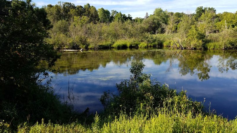 Avalanche Preserve: Nature Trails Right in Town Avalanche Preserve: Nature Trails Right in Town