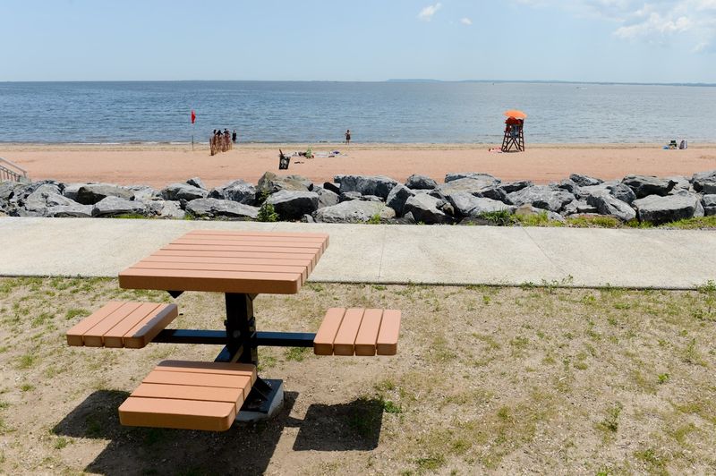 BBQ Areas and Picnic Spots for Families BBQ Areas and Picnic Spots for Families