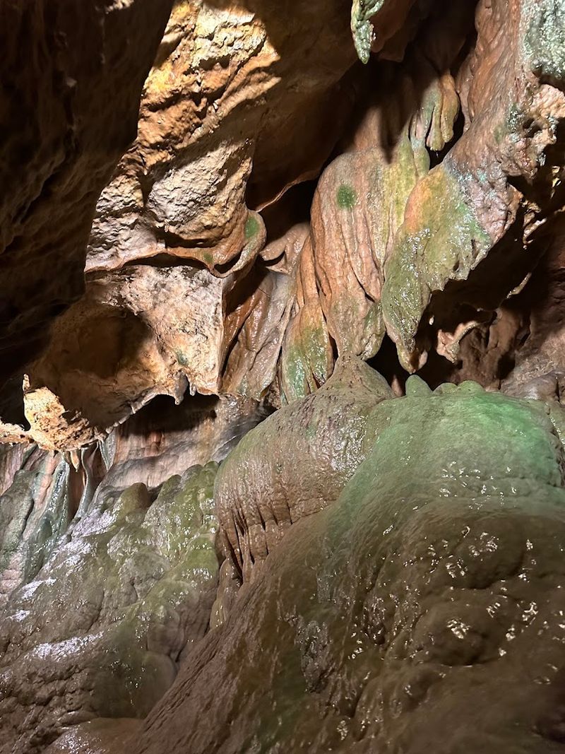Bats That Call the Caverns Home