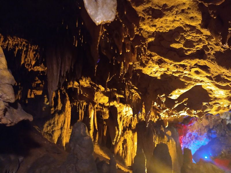 Bats in the Caverns: Fascinating Winged Residents Underground