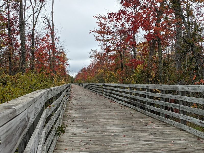 Bay View: A Historic Community Hidden Along the Path