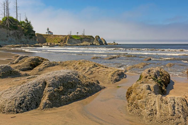 Beachcombing for Sea Glass, Fossils, and Shells