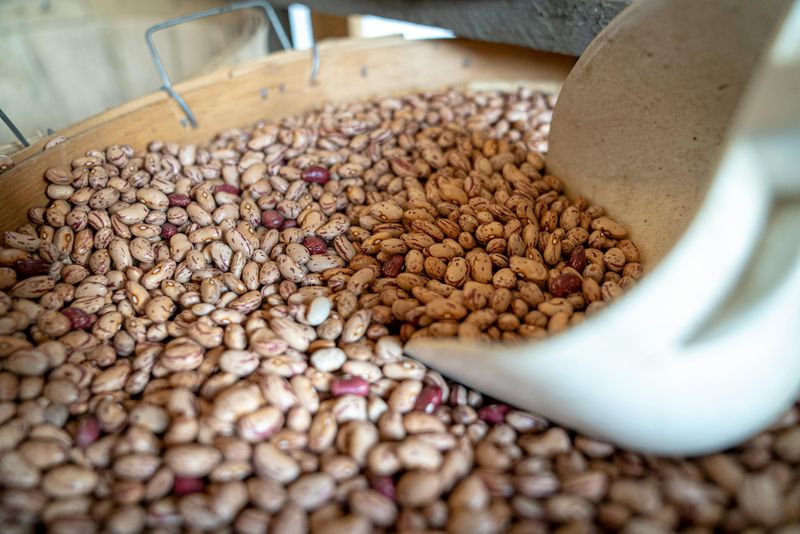 Beans