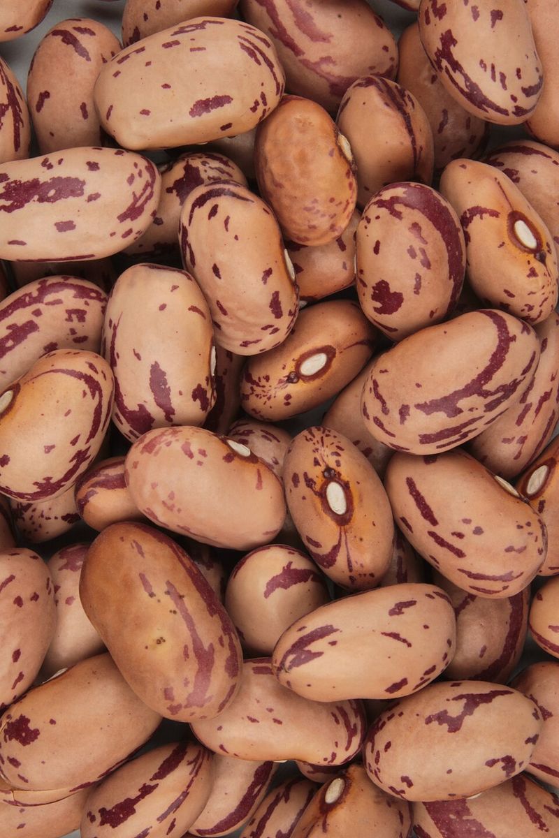 Beans