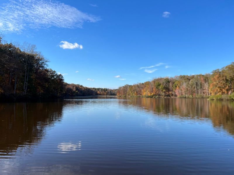 Bear Creek Lake State Park - Cumberland, Virginia