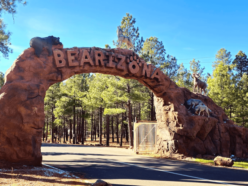 Bearizona Wildlife Park: Wild Encounters Near Town