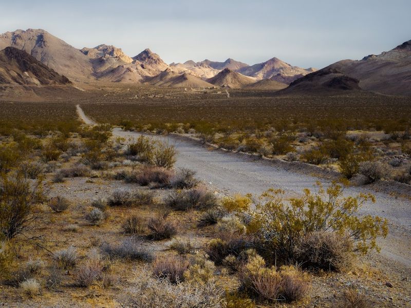 Beatty, Nevada