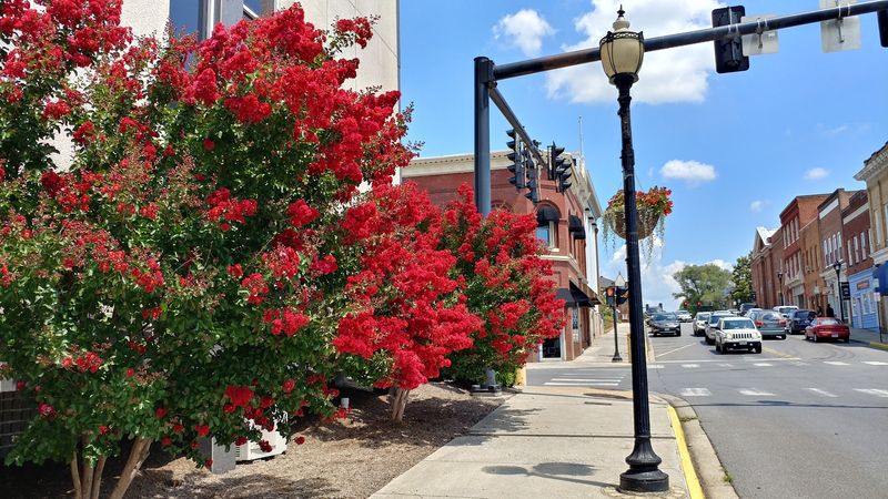 Bedford - Virginia