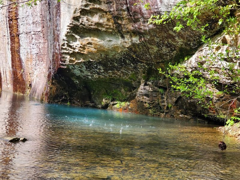 Bell Smith Springs Scenic Area - Ozark, Illinois Bell Smith Springs Scenic Area - Ozark, Illinois