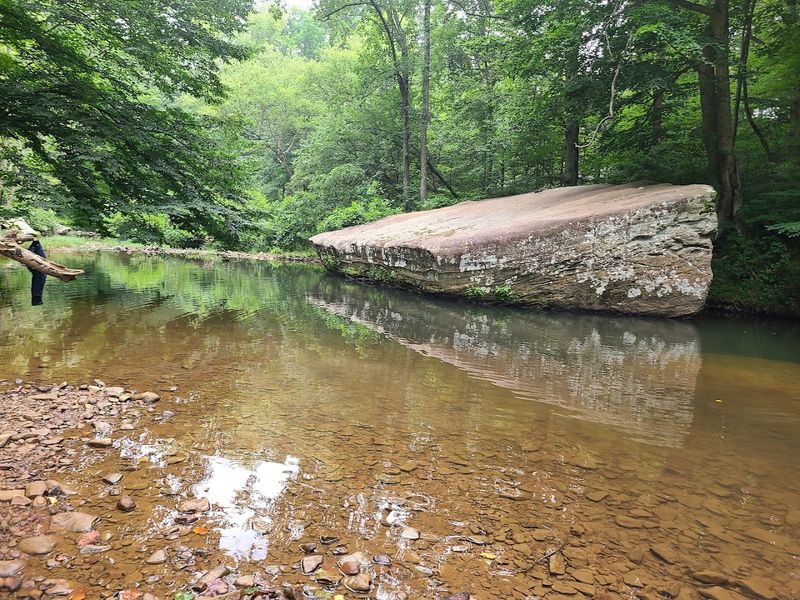 Bell Smith Springs Scenic Area - Ozark, Illinois