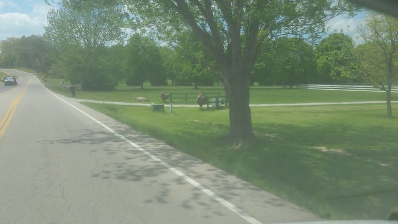 Bellbrook - Ohio