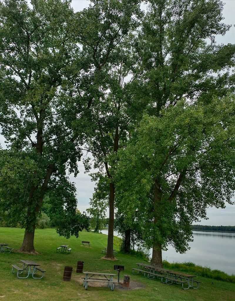 Best Time of Year to Fish Stony Creek Lake