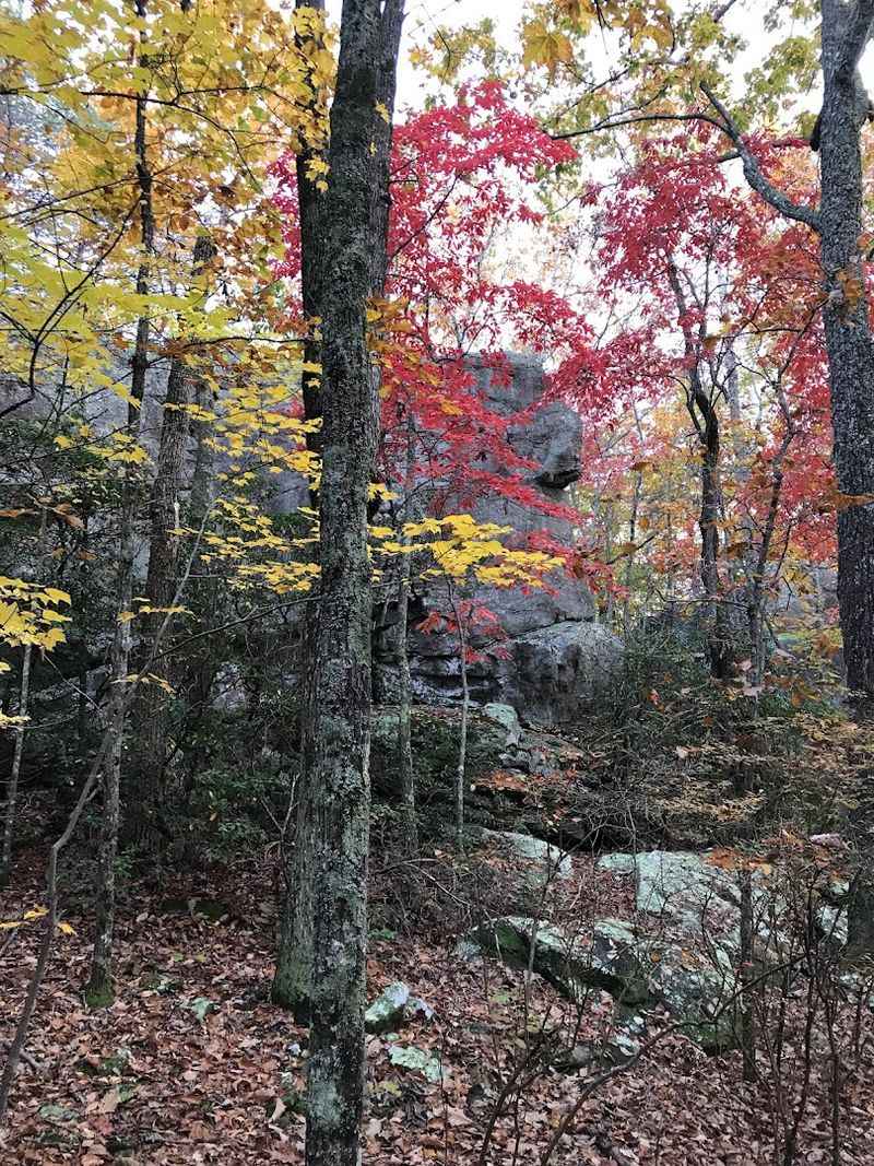Best Time of Year to Visit Rocktown Trailhead
