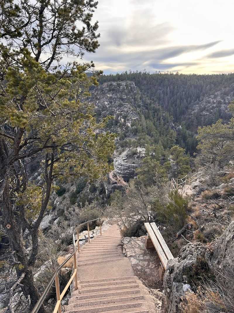 Best Time of Year to Visit the Island Trail