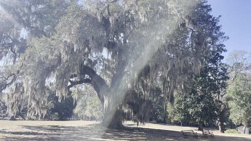 Best Time to Visit and What to Expect Each Season