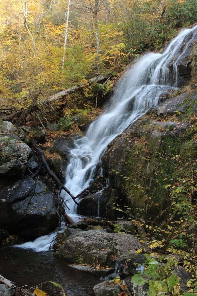 Best Time to Visit for Peak Beauty Best Time to Visit for Peak Beauty