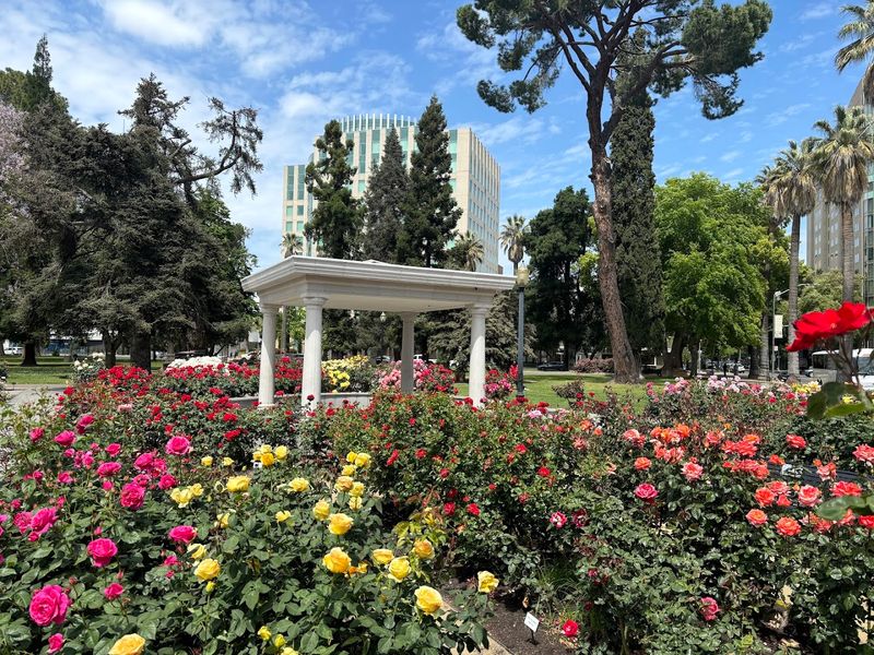 Best Times to Visit for Peak Blooms and Great Photos