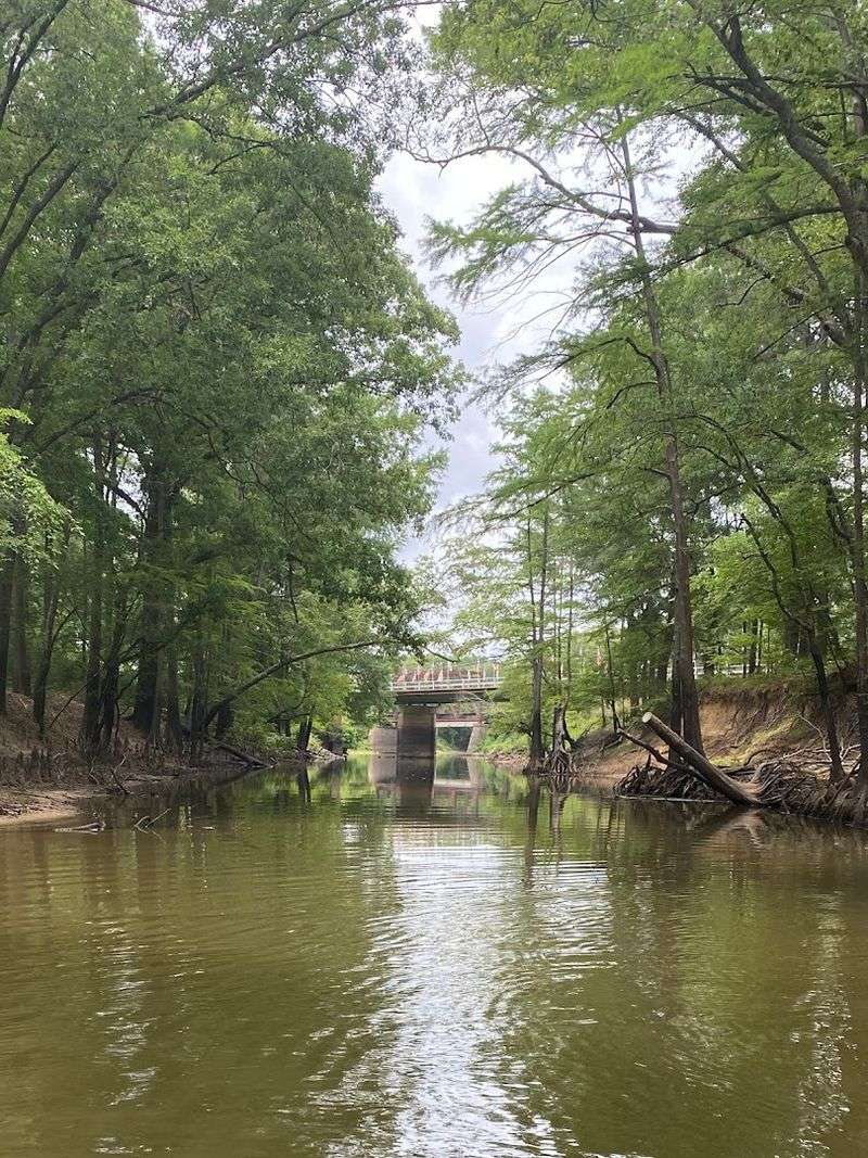 Big Cypress Bayou and the Call of the Outdoors