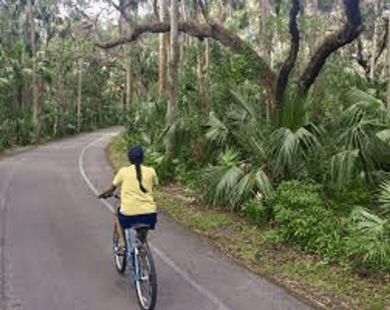 Biking Through Old Florida Scenery Biking Through Old Florida Scenery