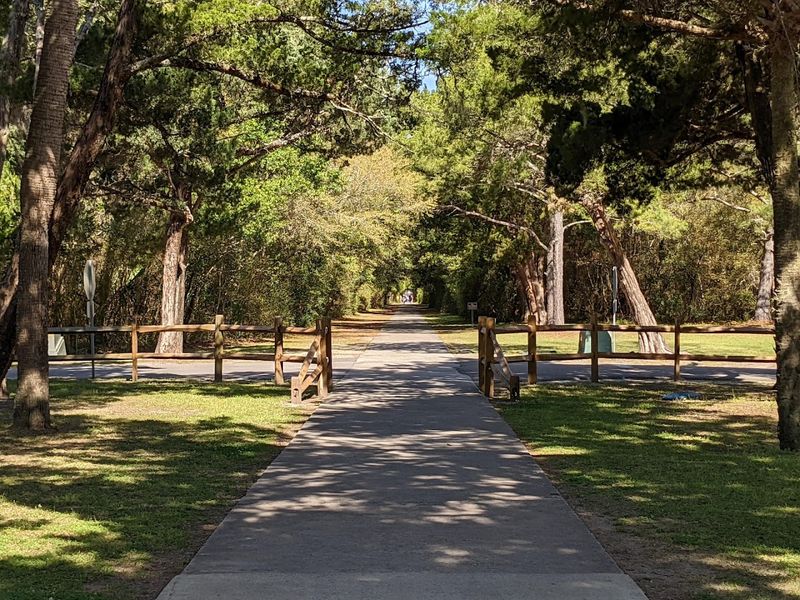 Biking Through the Park Is a Surprisingly Enjoyable Experience