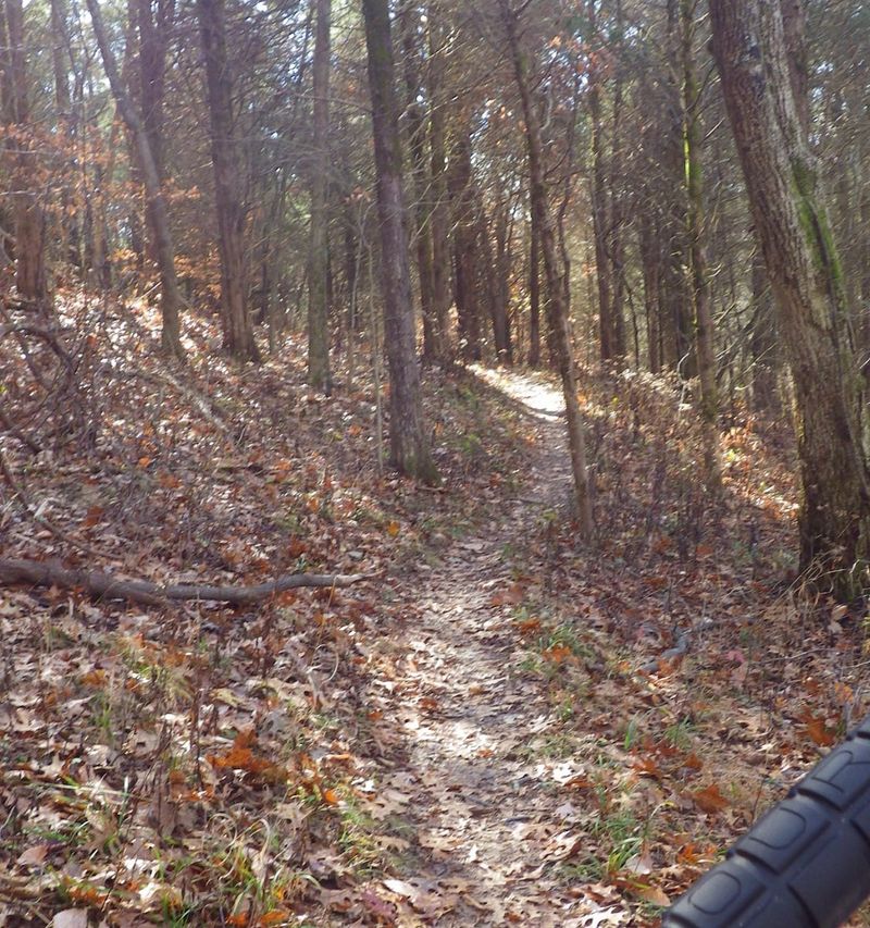 Biking on the Whispering Pines Trail Biking on the Whispering Pines Trail
