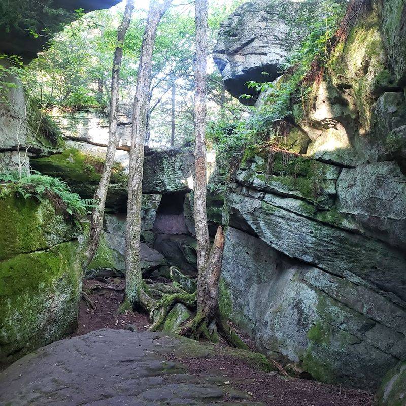 Bilger's Rocks - Grampian, Pennsylvania