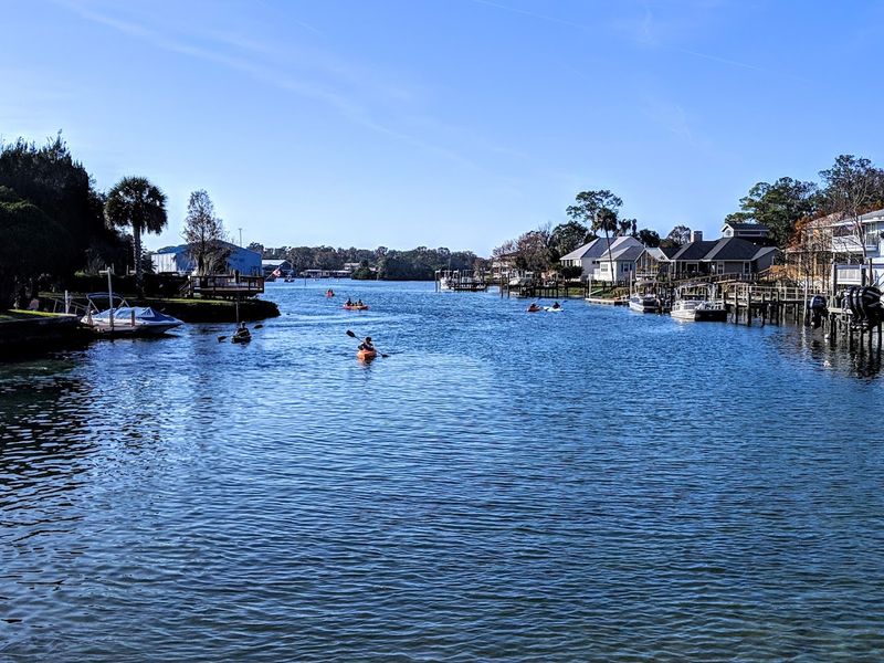 Bird Watching Along Crystal River Waterways