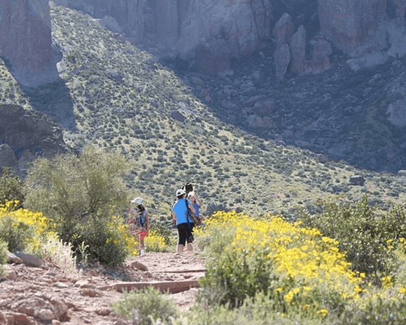 Bird Watching Along the Salt River: Wings Over the Desert
