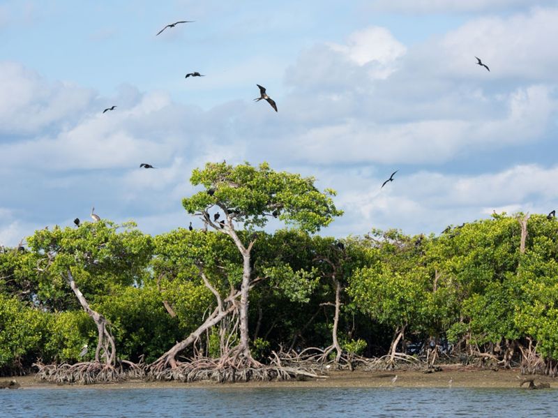 Bird Watching Paradise With Hundreds of Species