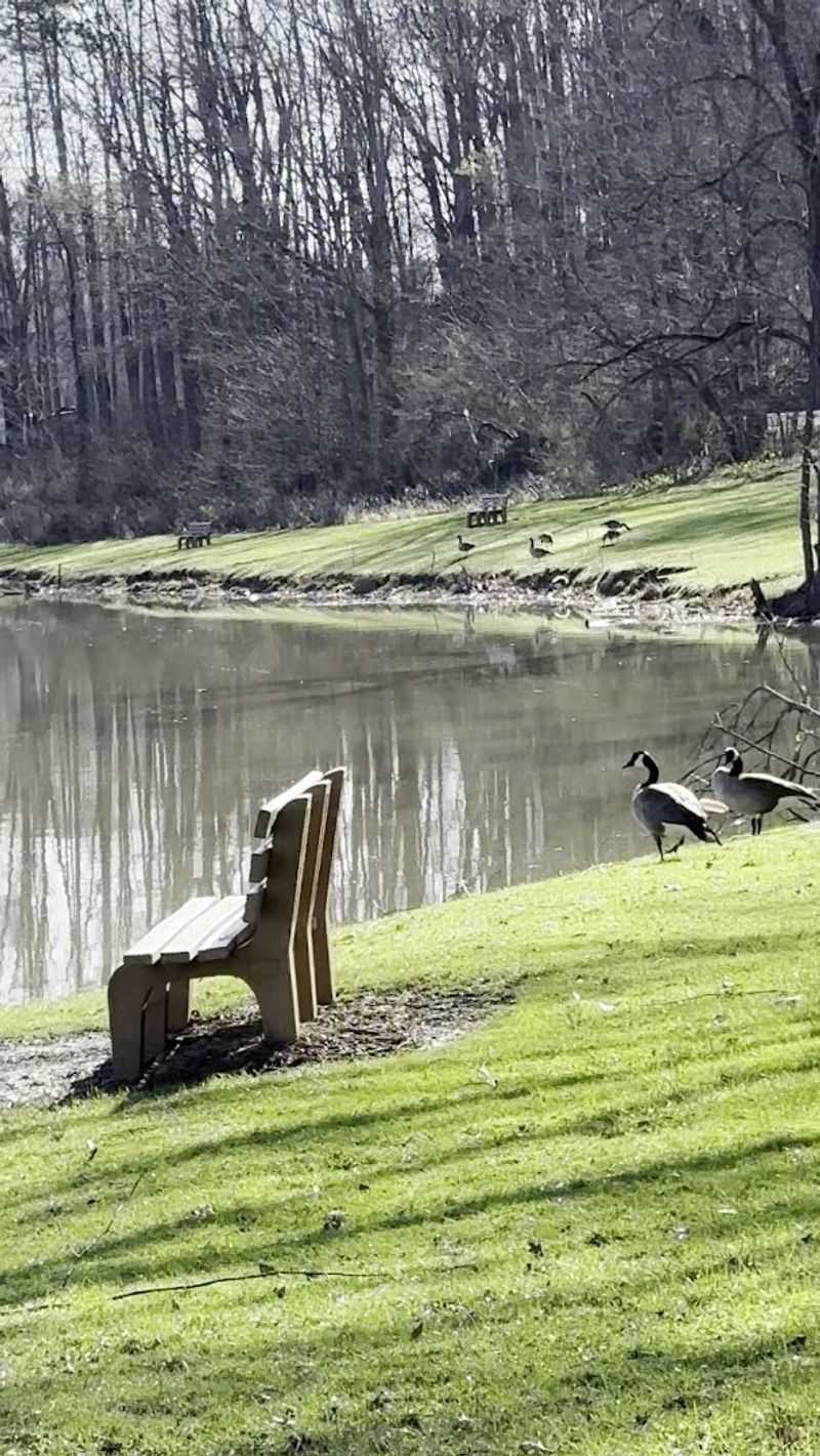 Bird Watching That Will Delight Nature Lovers Bird Watching That Will Delight Nature Lovers
