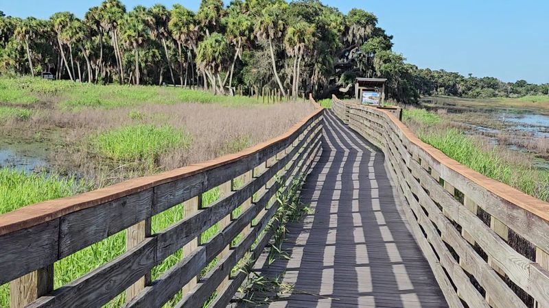 Bird Watching at the Lake and Birdwalk