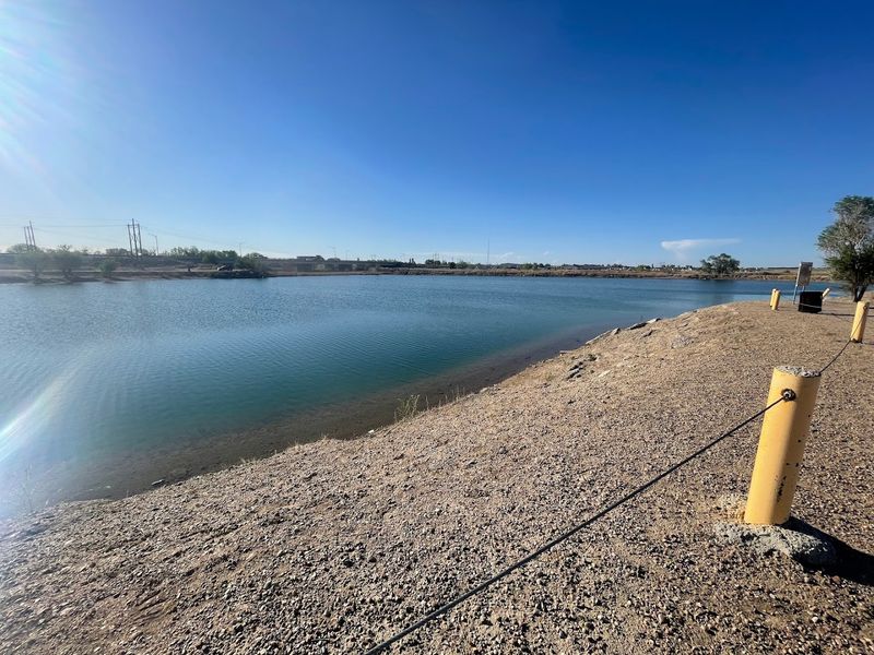 Birding Along the Lamar Migration Corridor