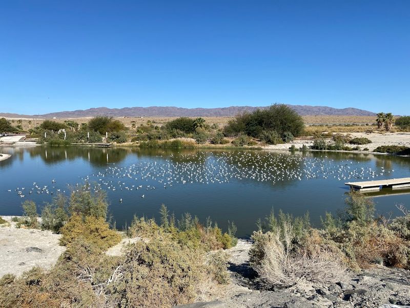 Birding Paradise Hidden in Plain Sight
